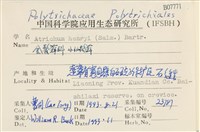 小仙鶴蘚藏品圖，第2張