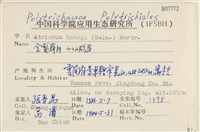 小仙鶴蘚藏品圖，第2張