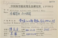 大仙鶴蘚藏品圖，第2張