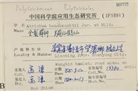 仙鶴蘚藏品圖，第2張