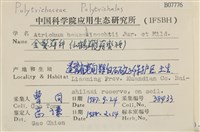 仙鶴蘚藏品圖，第2張