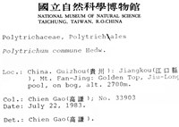 金髮蘚藏品圖，第2張