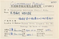 海島花葉蘚藏品圖，第2張