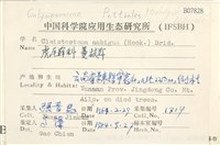 蔓枝蘚藏品圖，第2張