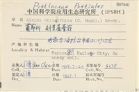 斜葉蘆薈蘚藏品圖，第2張