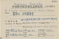 斜葉蘆薈蘚藏品圖，第2張