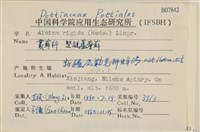 登錄號:B00007842藏品圖，第2張