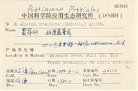 鈍葉蘆薈蘚藏品圖，第2張