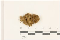 鈍葉蘆薈蘚藏品圖，第1張