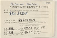 卷葉叢本蘚藏品圖，第2張