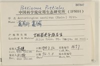 登錄號:B00007847藏品圖，第2張