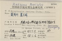 登錄號:B00007848藏品圖，第2張