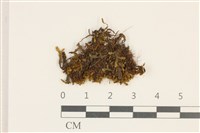 登錄號:B00007848藏品圖，第1張