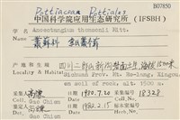 索氏叢本蘚藏品圖，第2張