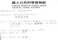 鈍葉泥炭蘚藏品圖，第2張