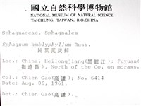 鈍葉泥炭蘚藏品圖，第2張