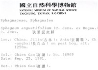 狹葉泥炭蘚藏品圖，第2張