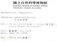 日本泥炭蘚藏品圖，第2張
