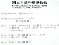 垂枝泥炭蘚藏品圖，第2張