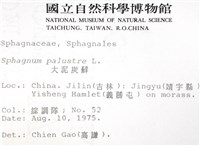 大泥炭蘚藏品圖，第2張