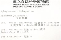 大泥炭蘚藏品圖，第2張