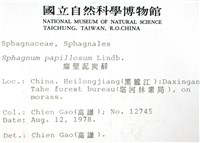 瘤壁泥炭蘚藏品圖，第2張