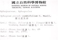 擬大泥炭蘚藏品圖，第2張