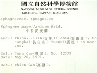 中位泥炭蘚藏品圖，第2張
