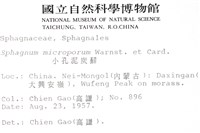 小孔泥炭蘚藏品圖，第2張