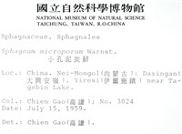 小孔泥炭蘚藏品圖，第2張
