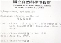 稀孔泥炭蘚藏品圖，第2張