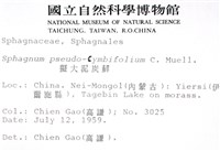 擬大泥炭蘚藏品圖，第2張