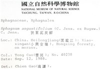 狹葉泥炭蘚藏品圖，第2張