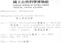 擬尖葉泥炭蘚藏品圖，第2張
