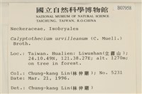 登錄號:B00007958藏品圖，第2張