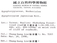 日本孔雀蘚藏品圖，第2張
