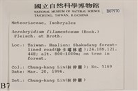 毛扭蘚藏品圖，第2張