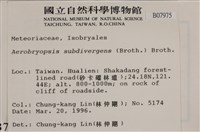 大灰氣蘚藏品圖，第2張