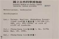 登錄號:B00007977藏品圖，第2張