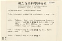 登錄號:B00007997藏品圖，第2張