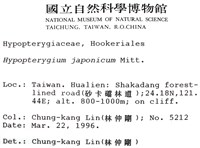 日本孔雀蘚藏品圖，第2張