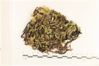 登錄號:B00008012藏品圖，第1張