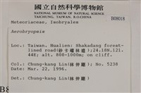 登錄號:B00008018藏品圖，第2張