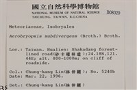 大灰氣蘚藏品圖，第2張