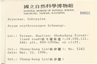 登錄號:B00008022藏品圖，第2張