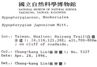 日本孔雀蘚藏品圖，第2張