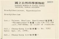 登錄號:B00008038藏品圖，第2張