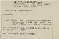 登錄號:B00008047藏品圖，第2張