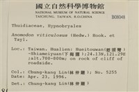 登錄號:B00008048藏品圖，第2張