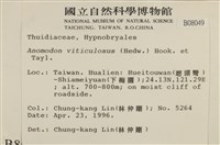 登錄號:B00008049藏品圖，第2張
